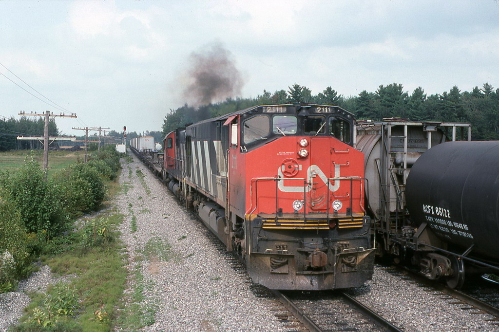 CN 207 passes beside 306 at track speed.