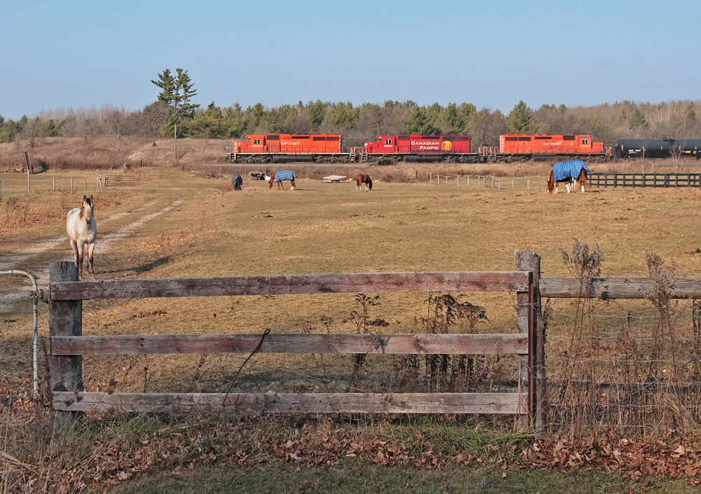 Got horsepower ? 5 extra ponies stand around nibbling the grass paying no attention to the other 9,000 ponies put out by 3 Canadian built SD40-2\'s.