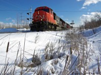 I dove into the bull rushes for a quick grab of CN Westbound Manifest at Reesor Road on the York Sub.