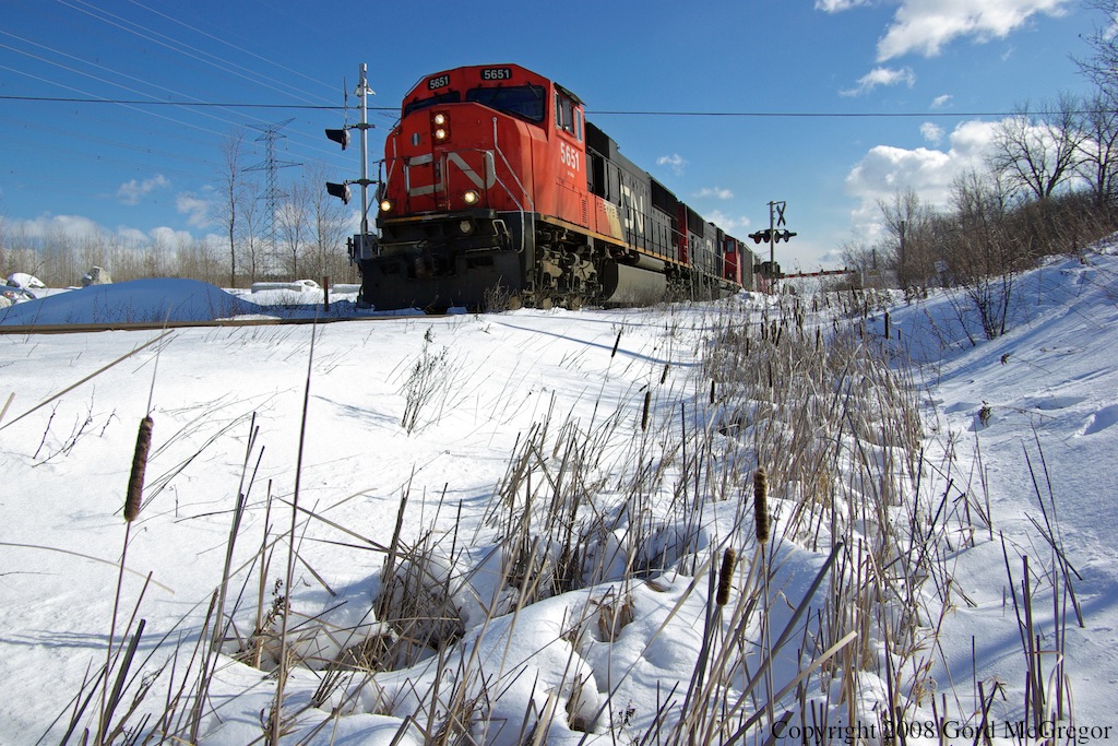 I dove into the bull rushes for a quick grab of CN Westbound Manifest at Reesor Road on the York Sub.