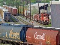 A cut of grain cars being positioned in the yard while yard power 1596,1014 wait to switch Cinram.