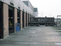 8505 doing some yard work around the shop.