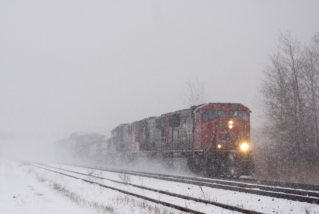 CN 393 CN 5732 CN 5665 IC 1031