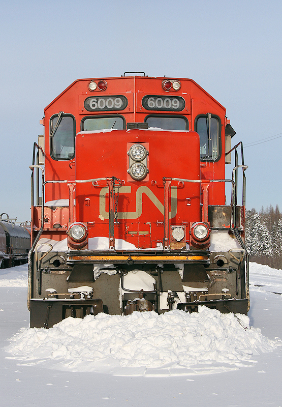 Leave it where it sits until spring!