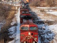 CP 115 heads through Belleville on CP\'s Belleville Sub. Belleville has a very nice downtown core, with many older gothic churches, a few of their peaks can be seen.