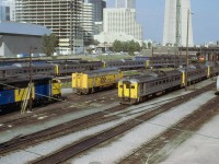 Spadina shop in its last years.