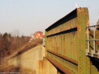 A pigeon sits quietly unaware of the oncoming Eastbound In Markham.