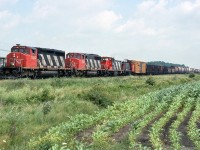 CN 429 from Bécancour with 5354,1422 & 1353 as trailing units.
