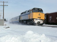 VIA 23 makes a good cold squall at 75 mph.