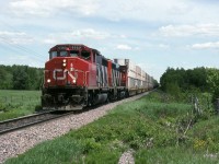 CN 231, the big intermodal of the 90s.
