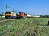 VIA 25 passes CN 783 at 75 mph.