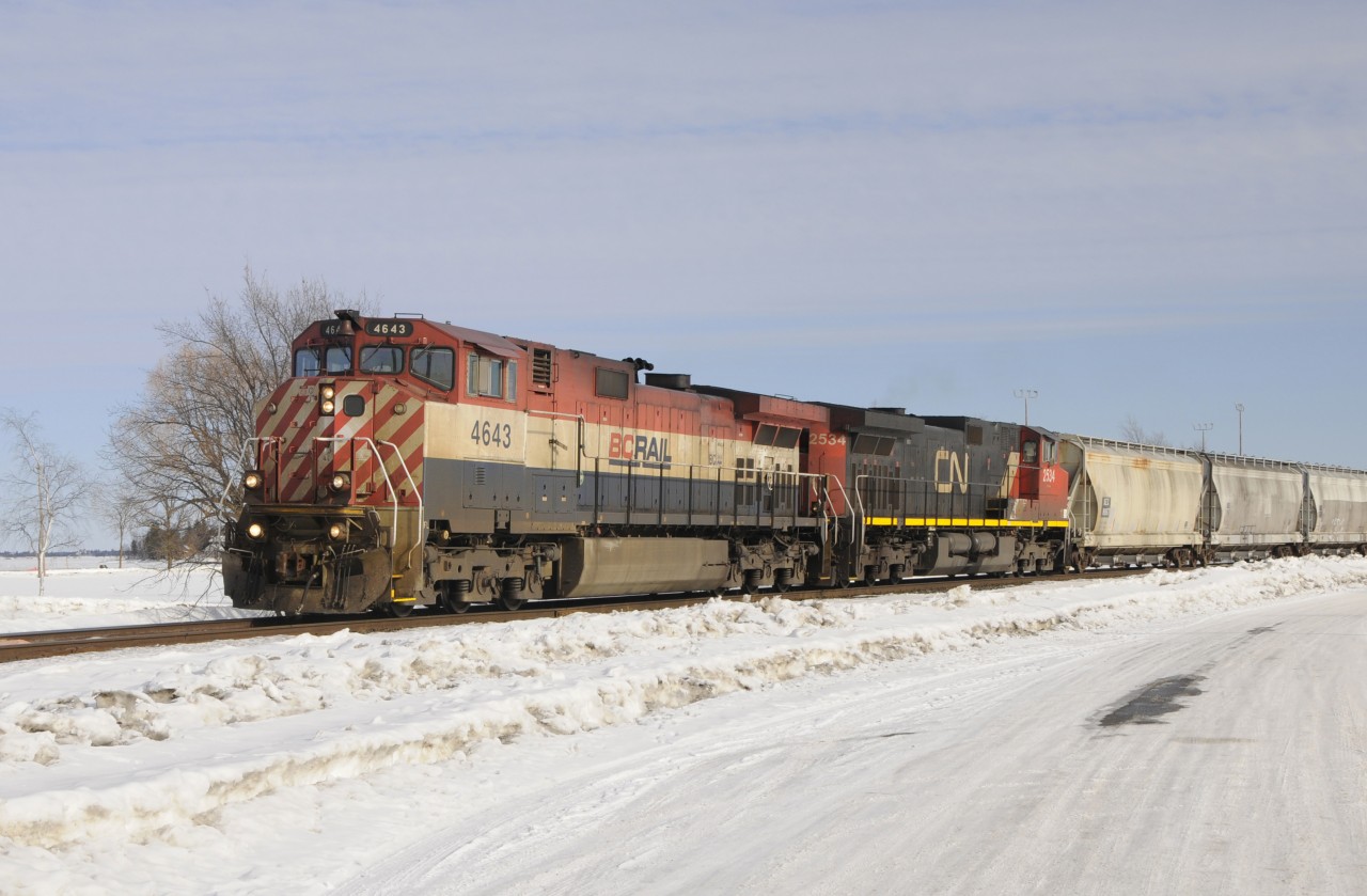 Train 347 with BC 4643, and CN 2534 at Seven Oaks in Fort Frances, on the Rainy Subdivision