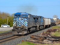 CP 441 led by a pair of CEFX, heads westbound thru Tilbury on its way towards Windsor.