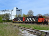 The CN Windsor local power prepares to do some switching at Hiram Walkers just west of the Windsor VIA station.