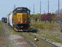 You have to sneak up on them very quietly if you want to catch them.  GEXR 582 heads south on the Guelph North Spur while 580 prepares to go around the wye.