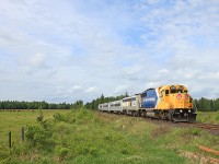 A gleaming 1809 leads 698 south past cattle grazing blissfully on the ...wait for it... Bliss Family Farm in Allensville.