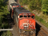 CN 331 rounds the curve east of Denfield Rd, with an old SD50AF demo unit in the lead. 