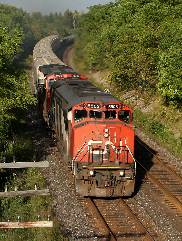 CN 331 rounds the curve east of Denfield Rd, with an old SD50AF demo unit in the lead.