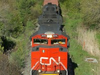 CN 8815 shines so bright with the colours of spring in Pickering.