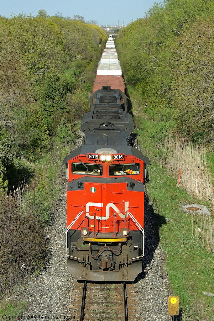 CN 8815 shines so bright with the colours of spring in Pickering.