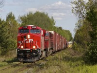 One of the newest locomotives on Canadian Pacific's roster leads a lengthy 255-16 through Flamborough.