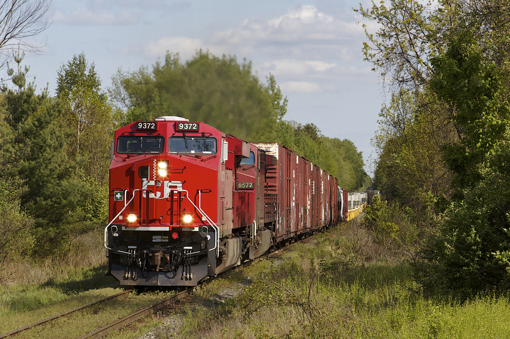 One of the newest locomotives on Canadian Pacific\'s roster leads a lengthy 255-16 through Flamborough.