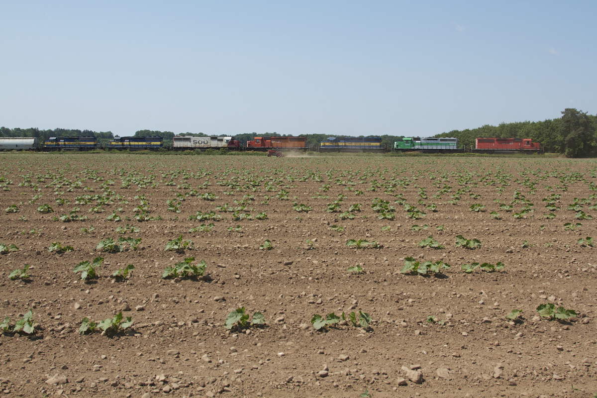 With an empty ethanol train returning to the midwest, CP 6036 leads the incredible 7 unit consist past an appropriate scene as a farmer works his field.
