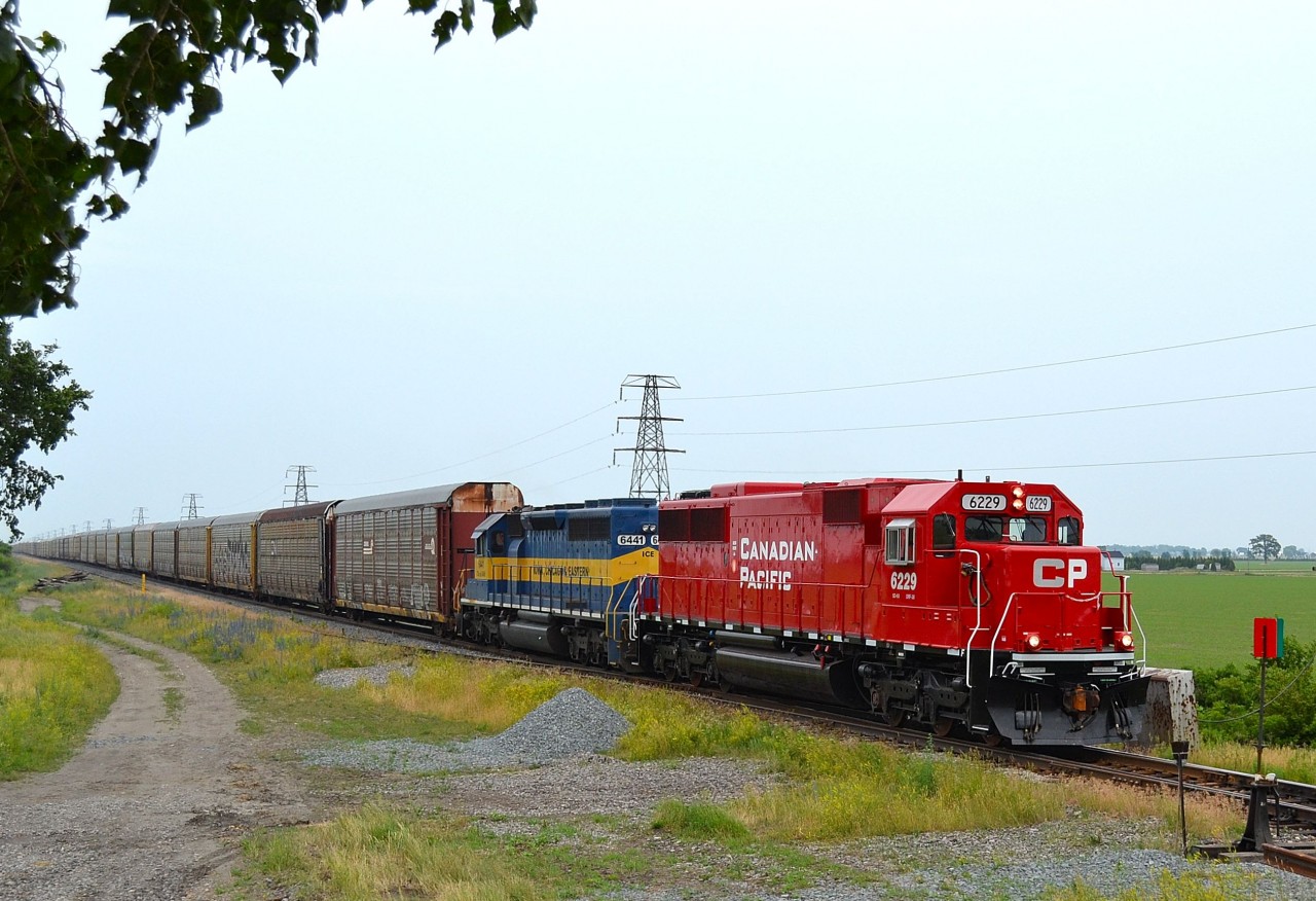 The latest of the recent rebuilds CP 6229 leads CP 235 westbound thru Jeannette on its way towards Windsor in a light rain. I took this shot sitting in a tree.