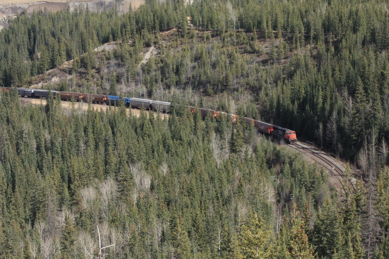 5650 leads a short A41151 just west of Hinton headed towards its destination of Thornton Yard on the Pacific coast.