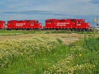 Sharp repainted consist rolls past Markham's urban fringe where nature has filled the land with colour.Same location as Labour Day 2011 photo.