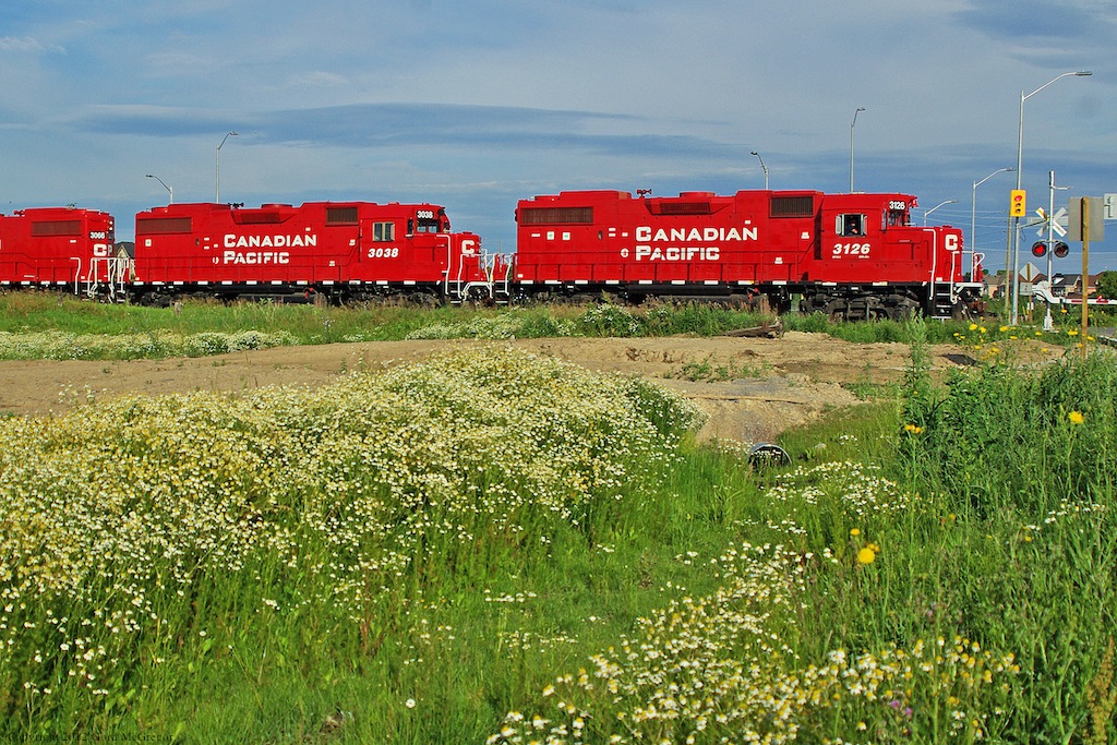 Sharp repainted consist rolls past Markham's urban fringe where nature has filled the land with colour.Same location as Labour Day 2011 photo.