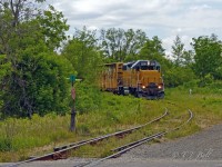 As soon as VIA 85 had cleared his limits, 582 came round the corner off the Fergus Spur to switch in the west end of the yard at Guelph.