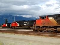 CN SD70m-2 #8810, CN SD75I #5729 and CN ES44DC #2242 were sleeping on the yard waiting for new crew to go toward their own destination. During this time, I gained the moment to take this shot! ;)