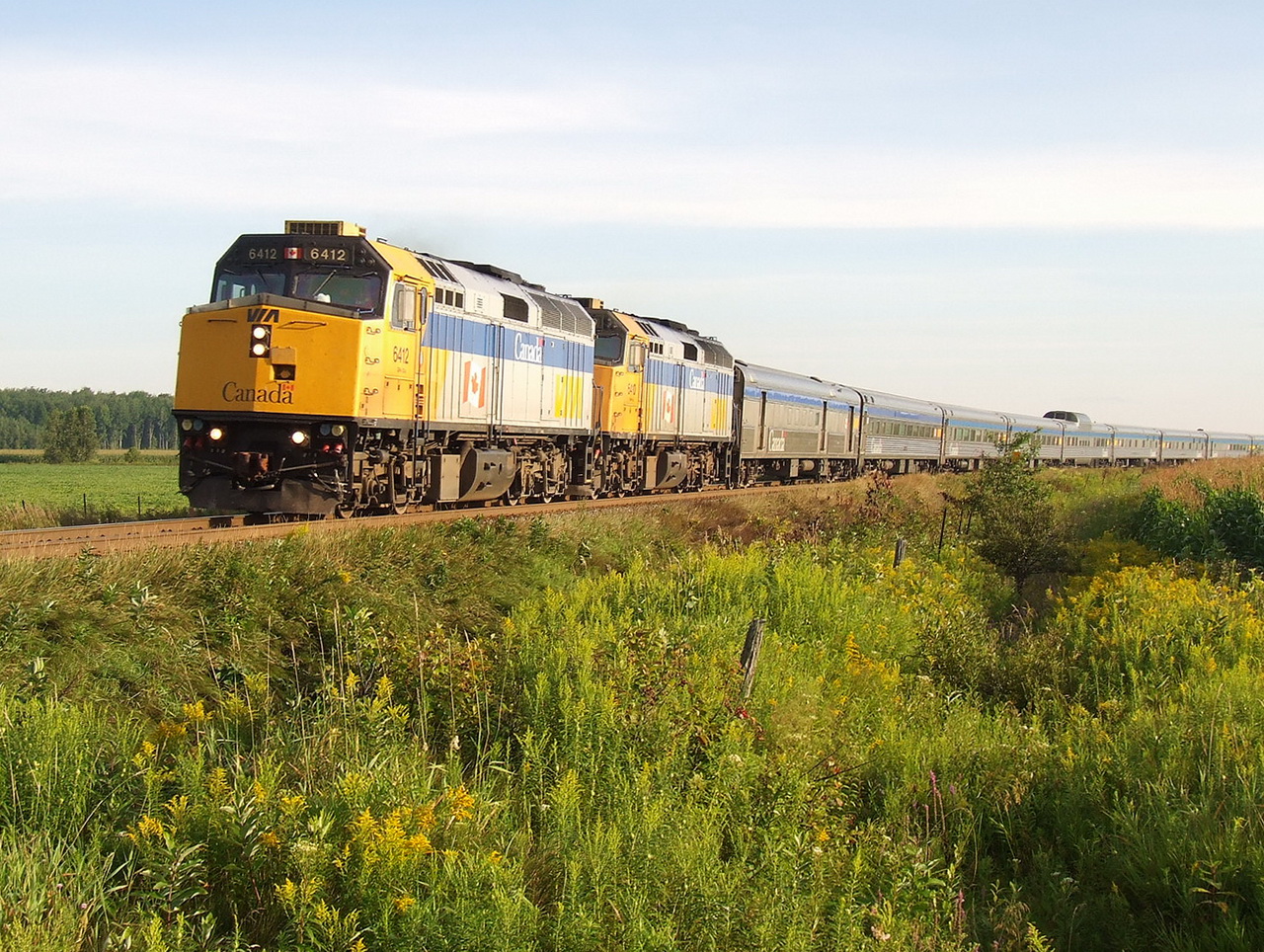 VIA 617 from Gaspé rounds the curve and accelerates to the next curve 3 miles ahead.