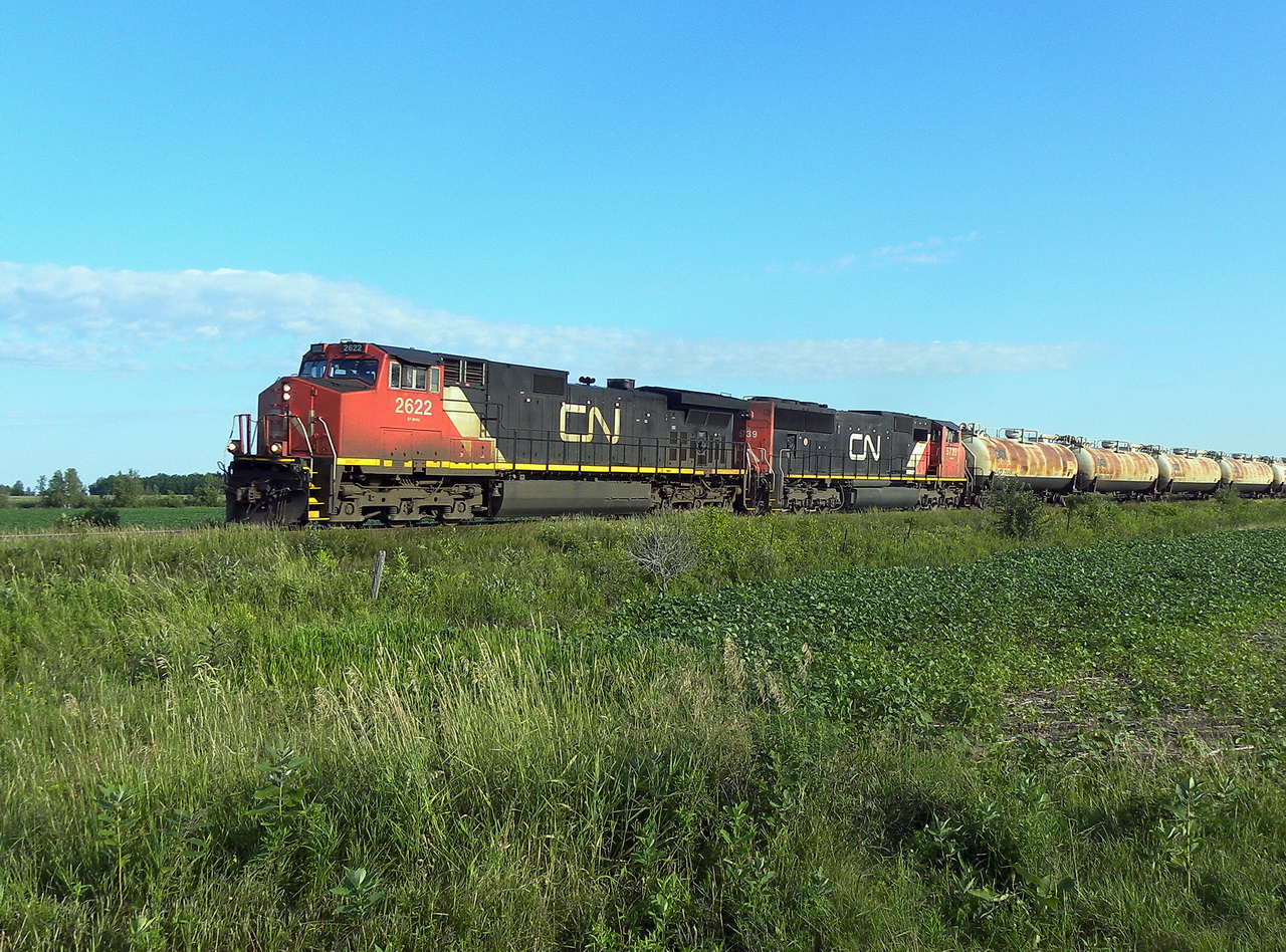 CN 785 early in the morning rounds the curve at a good clip.