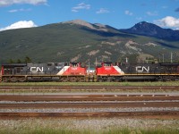 An CN ES44DC #2223 and a Dash 9-44CW #2555 face to face unassigned, waiting for the next job on another train.