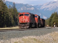 Working very hard, this CN coal train was going to Robert Bank BC, trailling by tow CN SD75I #5770 and 5784. Picture taking at CN English, about 4-5 miles east of Jasper AB.