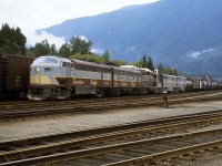The Late Roy Jennings caught a then "everyday consist" at Revelstoke lead by C-Liner 4052.