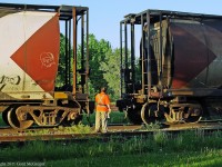 Linking a cut of old canister cars in Havelock.