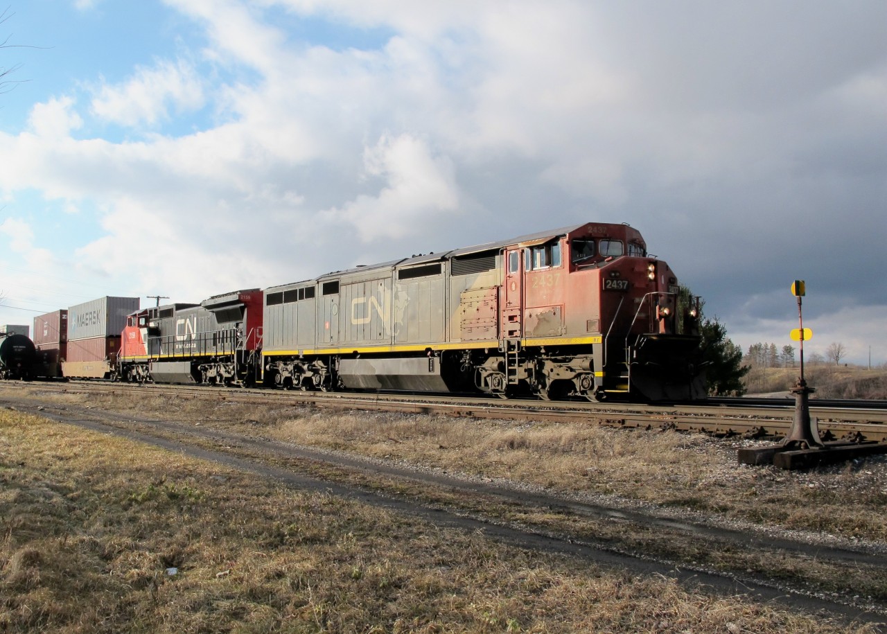 An eastbound C.N. freight storms through Paris, Jct.