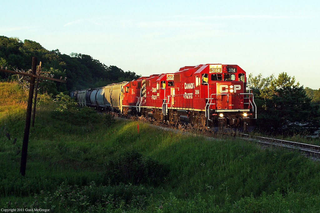 The end of a wonderful summer day as T07 gets a tight fit in the last pocket of light in Raglan Ontario.