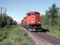 CN 207 with 3 GP-40s, the popular power of the time.