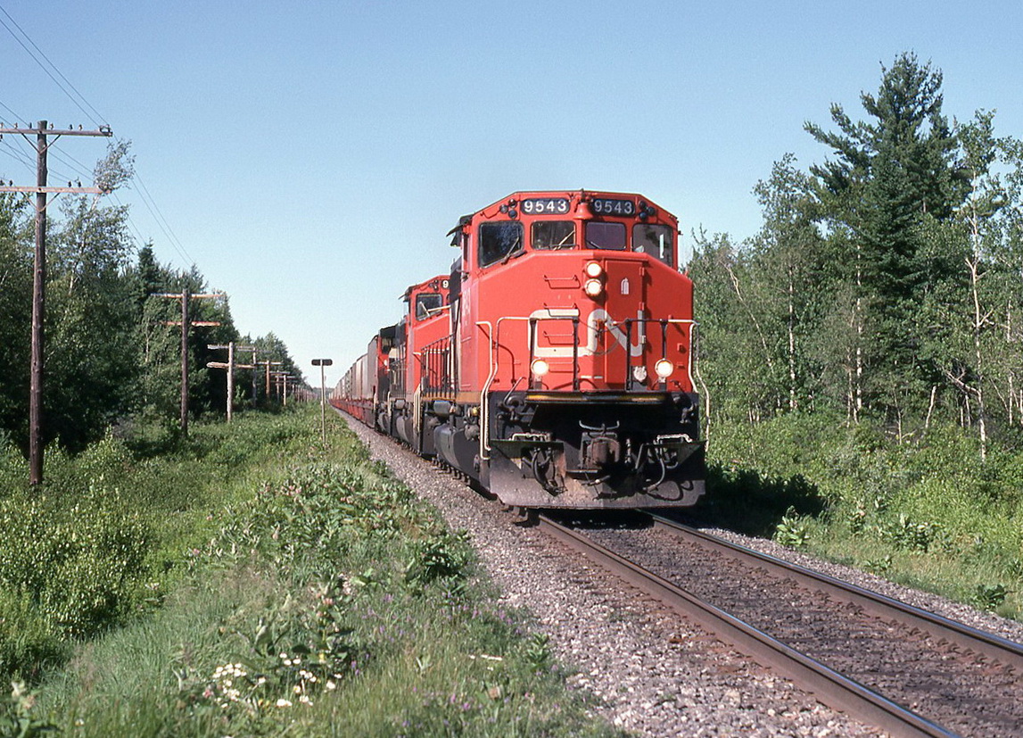 CN 207 with 3 GP-40s,the popular power of the time.