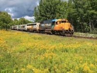 A lucky break in the clouds illuminates ONR 1802 as it passes a meadow of wildflowers alongside Aspdin Road at the CN Newmarket Sub Mile 144 marker. Northlander train service is scheduled to be discontinued on September 28, 2012.