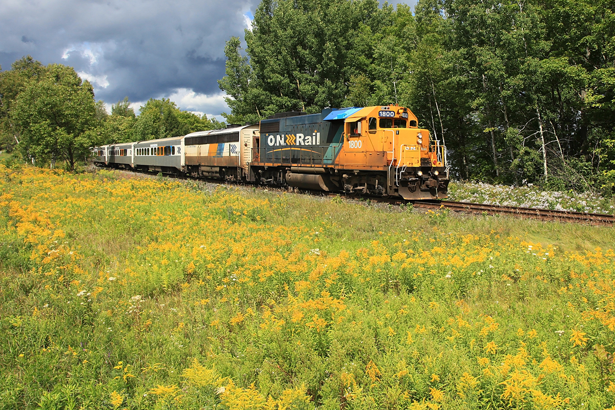 A lucky break in the clouds illuminates ONR 1802 as it passes a meadow of wildflowers alongside Aspdin Road at the CN Newmarket Sub Mile 144 marker. Northlander train service is scheduled to be discontinued on September 28, 2012.