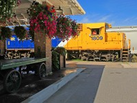 An abundance of colour as the shiny 1809 pulls train 697 into Huntsville Station.about 5 weeks before the scheduled termination of Ontario Northland passenger train service by the incumbent meatheads in Queens Park.