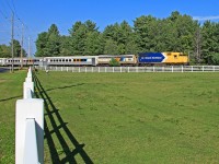 1809 blasts past a paddock with a couple of horses grazing up in the corner near the tracks. The little fellow's name is Pineapple, but he's known by the crews on the Newmarket Sub as "Highball". 