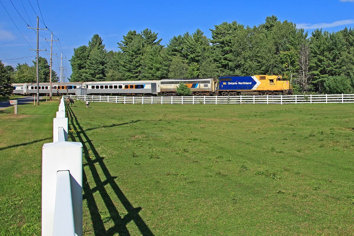 1809 blast5s past a paddock with a couple of horses grazing up in the corner near the tracks. The little fellow's name is Pineapple, but he's known by the crews on the Newmarket Sub as "Highball".