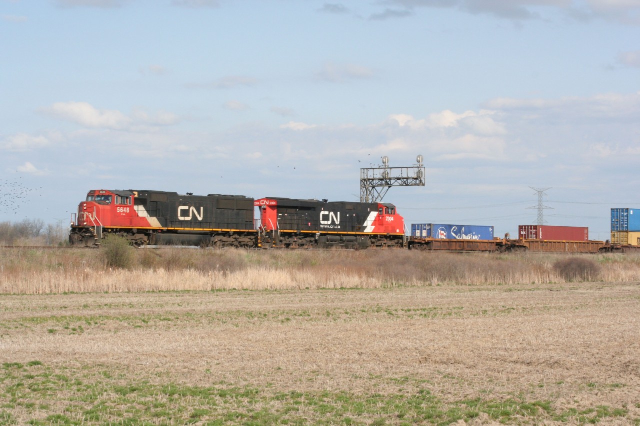 CN 148 led by engine number 5648 causes birds to scatter as it ducks under the signals at CN Mansewood.