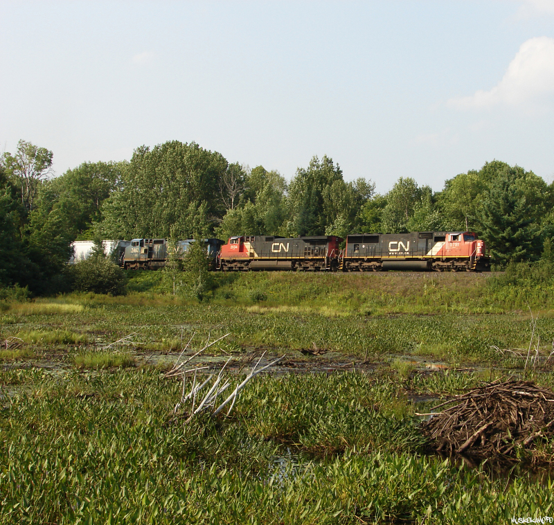 CN 316 - CN 5751 South starting to work the power approaching Woodward with a heavy 133 car train.